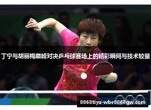 丁宁与胡丽梅巅峰对决乒乓球赛场上的精彩瞬间与技术较量